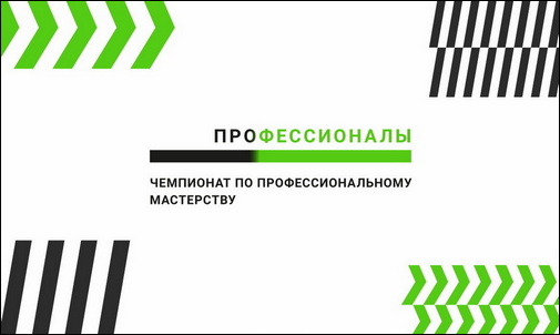 Чемпионат по профессиональному мастерству «Профессионалы»